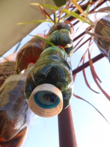 Detalhe do conector
